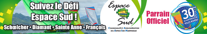 EspaceSud-660-X-110-BANDEAUX_WEB-2014.jpg