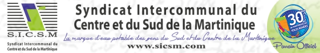 SICSM-900-X-150-BANDEAUX_WEB-2014.jpg